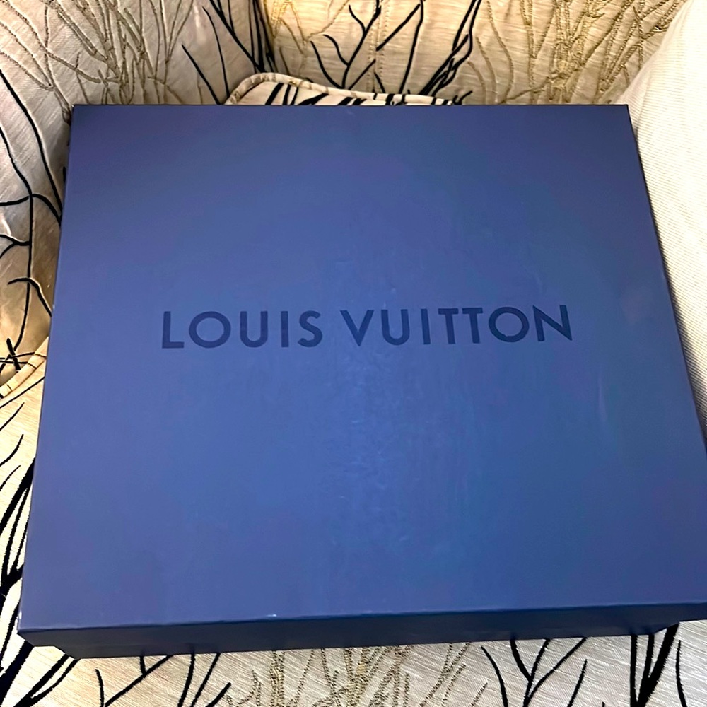 Brand new Louis Vuitton shoes